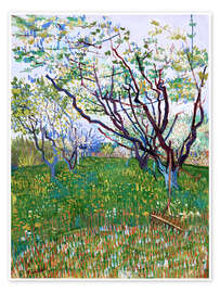 Poster  Frutteto in fiore - Vincent van Gogh