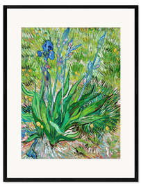 Stampa artistica con cornice  Iris - Vincent van Gogh