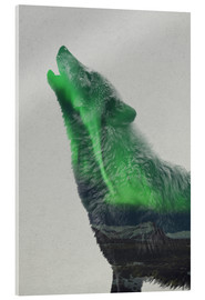Stampa su vetro acrilico  Howling in the Aurora Borealis - Andreas Lie