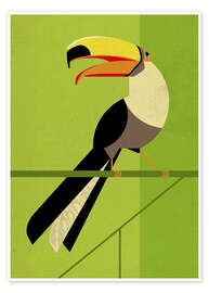 Poster  Toucan - Dieter Braun