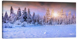 Stampa su tela  Alba invernale nella foresta in montagna