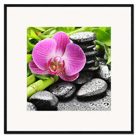 Stampa artistica con cornice  Pietre zen ed orchidea rosa