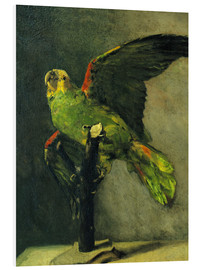 Stampa su PVC  The green parrot - Vincent van Gogh