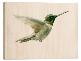 Stampa su legno  Hummingbird - Verbrugge Watercolor