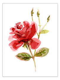 Poster Red Rose