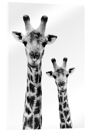 Stampa su vetro acrilico  Mamma giraffa con piccolo - Philippe HUGONNARD
