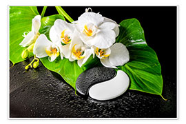 Poster  Orchidee bianche con pietre yin e yang