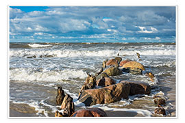 Poster  Baltic Sea coast on a stormy day - Rico Ködder