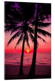 Stampa su vetro acrilico  Palme e tramonto tropicale