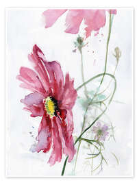Poster  Cosmos flower watercolor - Verbrugge Watercolor