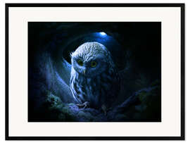 Stampa artistica con cornice  Little owl - Elena Dudina