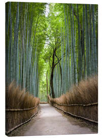 Stampa su tela  Foresta di bambù a Kyoto, Giappone - Jan Christopher Becke