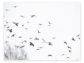 Poster  Stormo di uccelli