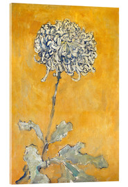 Stampa su vetro acrilico  Crisantemo - Piet Mondriaan