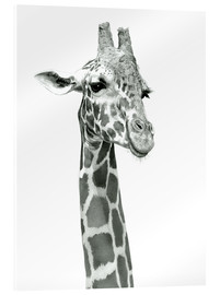 Stampa su vetro acrilico  Schizzo di una giraffa sorridente - Ashley Verkamp