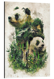 Stampa su alluminio  The Giant Panda - Barrett Biggers