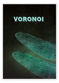 Poster  Voronoi - RNDMS