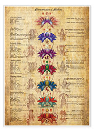 Poster Significato dei chakra (inglese)