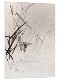 Stampa su PVC  L'uccello cattura i pesci - Watanabe Seitei