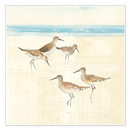 Poster Sandpipers Square I