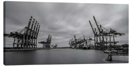 Stampa su tela  Containerhafen Hamburg Waltershof (long exposure) - Heiko Mundel