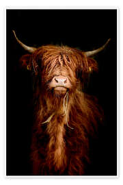 Poster  Highlander scozzese - Art Couture