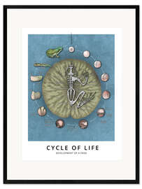 Stampa artistica con cornice  Ciclo della vita (inglese) - Wunderkammer Collection